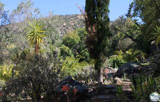 Wohngrundstück in Palau-saverdera. Terreno