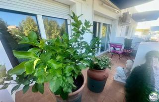 Appartement à Moxó - Sant Mori. Amplio apartamento cerca de la playa y los comercios