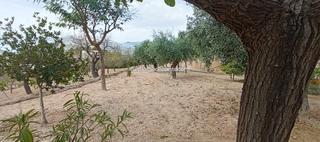 Xalet a Xixona. Chalet  con 55.000 mt a 2 km de jijona