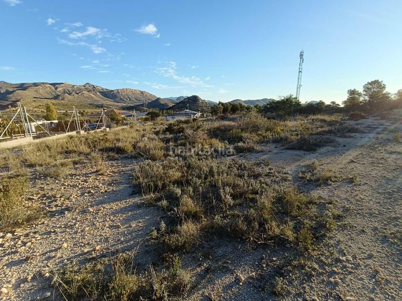 Foto 161e5d5c-919e-4878-9530-78240a975b7f. Finca rústica a Moralet Alicante
