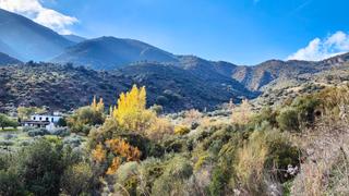 Finca rústica  Calle de los angeles. Se vende  camping