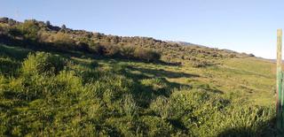 Finca rústica a Zahara. Se vende finca rustica en zahara de la sierra
