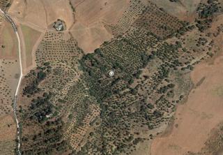 Finca rústica a Algodonales. Se vende olivar en algodonales