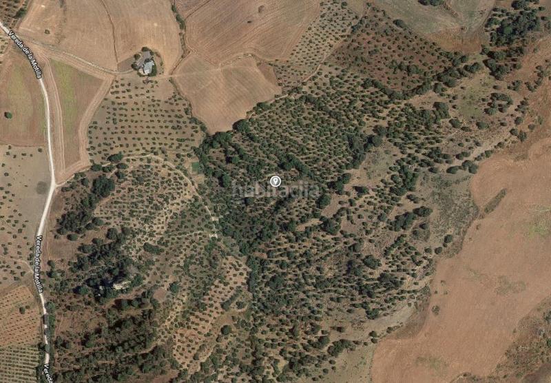 Foto 010cfac1-95e8-484d-ad6c-33160430c168. Finca rústica a Algodonales