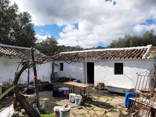 Finca rústica a N/a. Venta de finca en grazalema