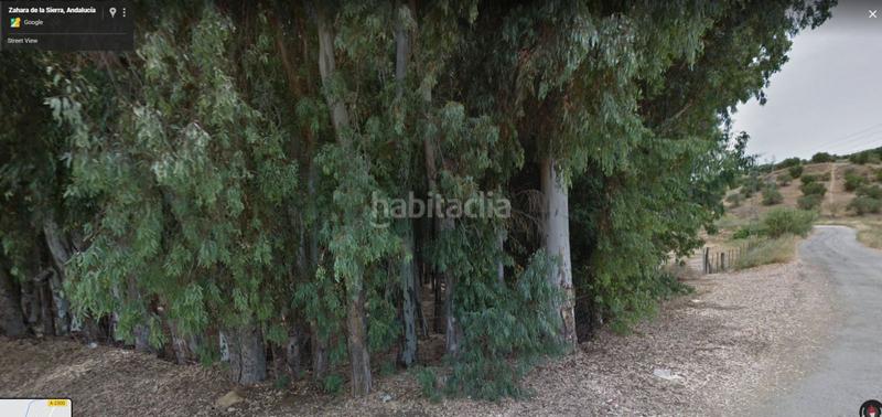 Foto ebac7800-c6ed-4cdc-9a72-4d5d153ca545. Finca rústica a Algodonales