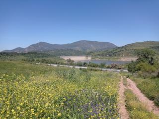 Finca rústica a Zahara. Se vende parcela en zahara de la sierra