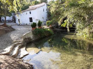 Finca rústica a Zahara. Se vende gran finca de riego en zahara de la sierra
