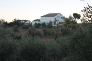 Finca rústica  N/a. Oportunidad única: finca rústica de 12,5 hectáreas en el gastor