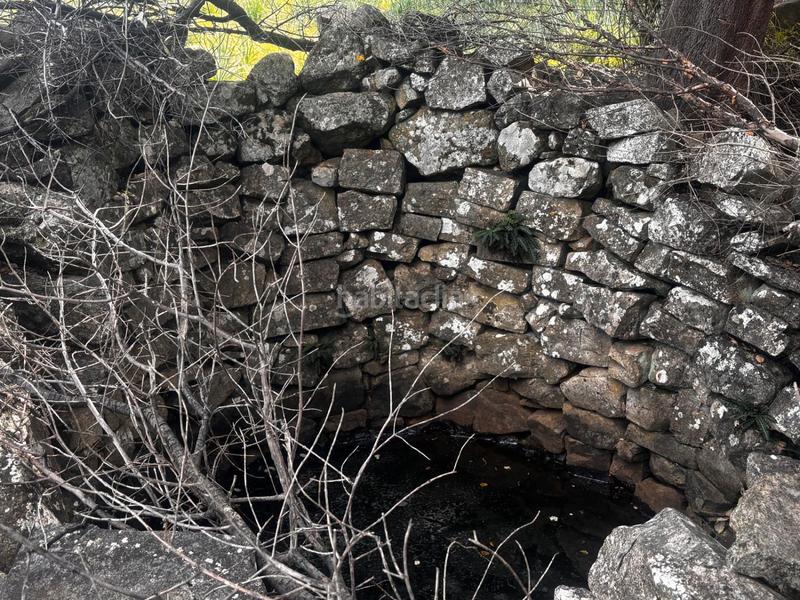 Foto 0f239e84-0a78-475b-9c23-a36a22848730. Rural plot in n/a in Grazalema