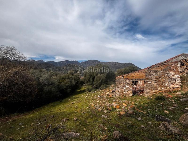 Foto b1e24449-46fc-4d2d-999e-b9327fbdb4e3. Rural plot in n/a in Grazalema
