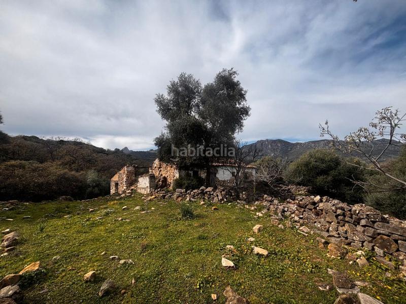 Foto c04fd228-d301-4ab2-8efc-091d24a01c78. Rural plot in n/a in Grazalema