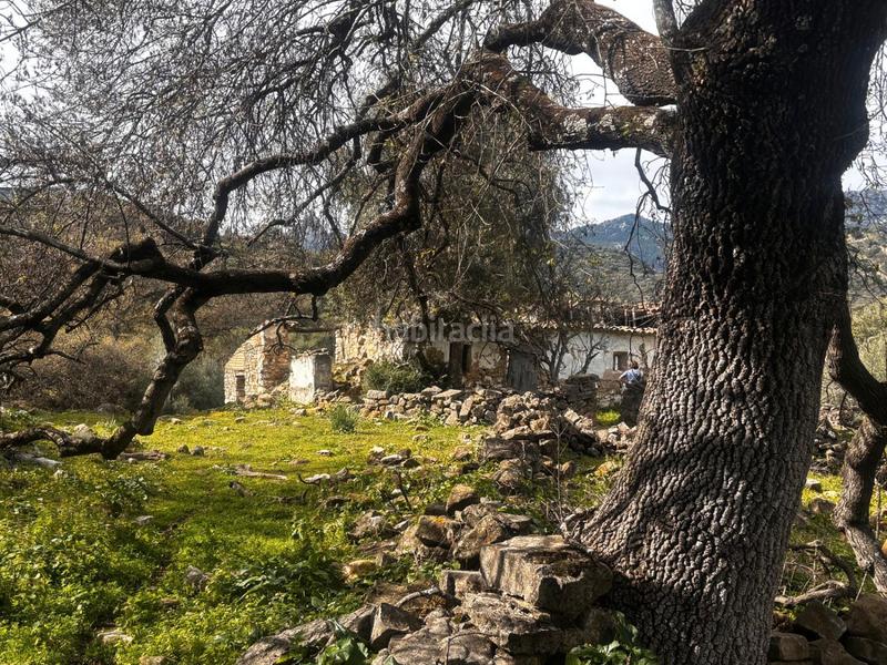 Foto cd70c803-1859-49d6-89d5-a0620f852ea3. Rural plot in n/a in Grazalema