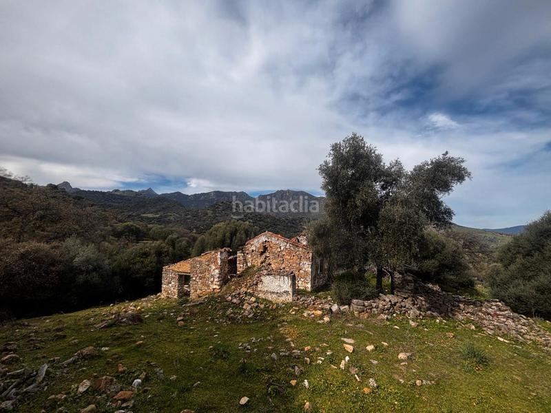 Foto e69119ec-6eed-41e8-b012-d61cd71df5b8. Rural plot in n/a in Grazalema