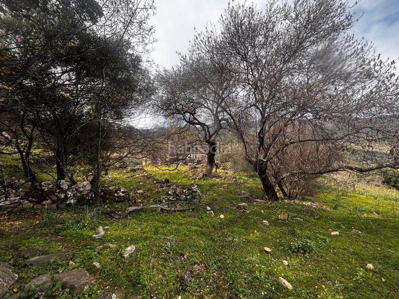 Foto fa60fe1d-0c7a-4ddc-9a36-12323fda6065. Rural plot in n/a in Grazalema