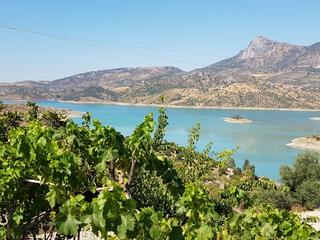Finca rústica a Zahara. Se vende finca en zahara de la sierra
