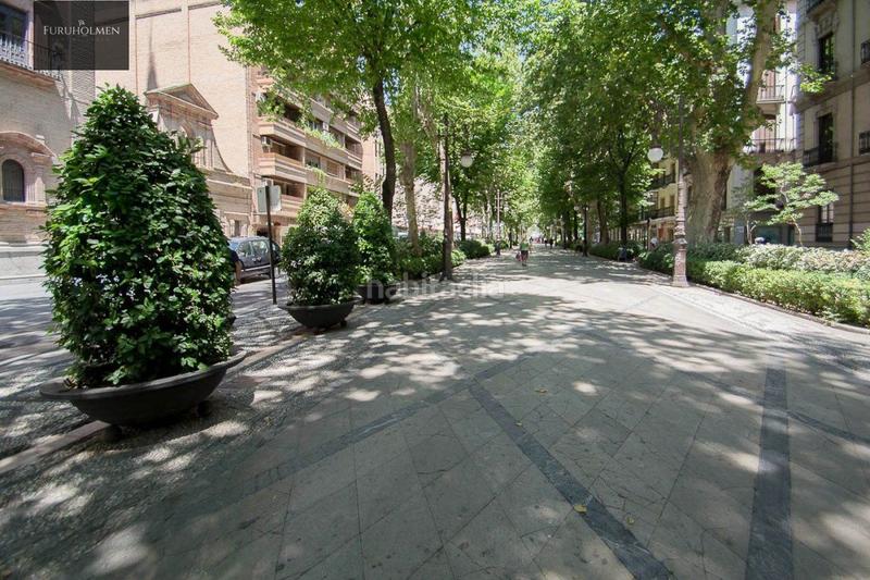 Foto 3199b336-2bf6-4eaf-8b7f-217d5cd78aa7. Appartamento in carrera de la virgen 7 in San Matías - Realejo Granada