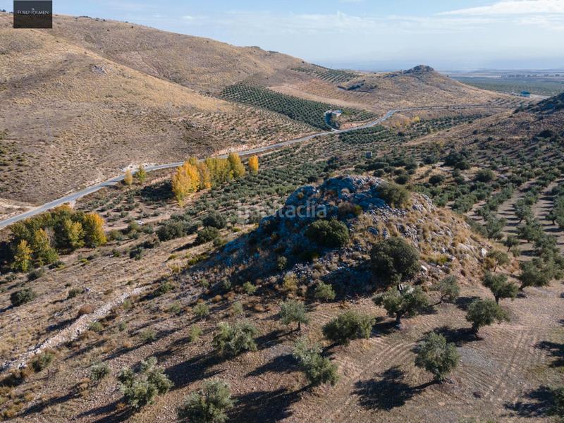 Foto 0659756f-8509-4c9b-a954-3b21a6a3b299. Finca rústica a Darro