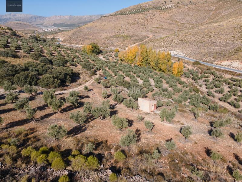 Foto 0c4a3ca3-836e-4e89-a9b0-2e34a9d8ba54. Finca rústica a Darro