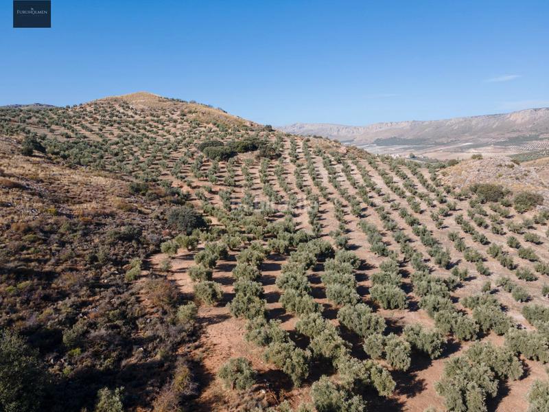 Foto 1e955b93-ddfa-4699-821a-5026c51146a6. Finca rústica a Darro