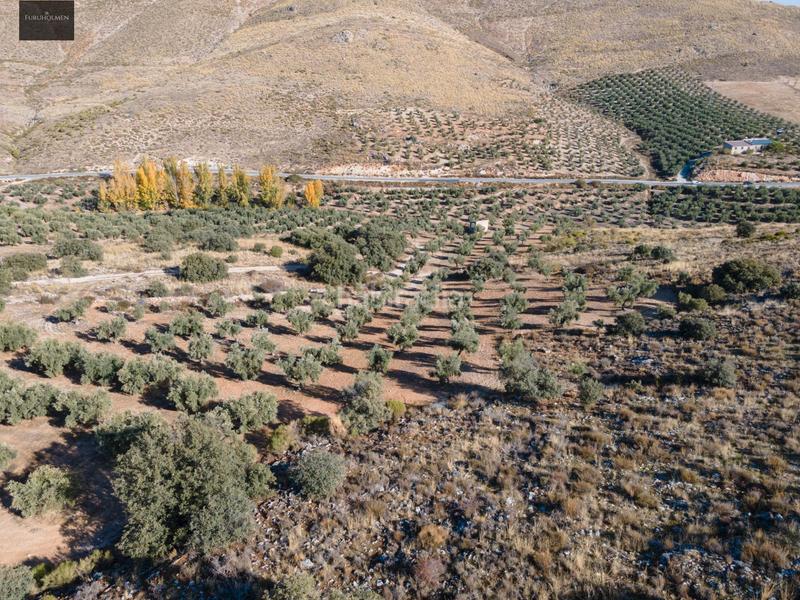Foto 5f5c28f2-8be0-4c95-a734-5f598aa5149f. Finca rústica a Darro