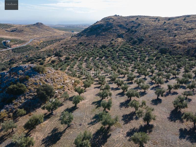 Foto 8e26a9d1-2902-44e5-b72c-350c93808171. Finca rústica a Darro