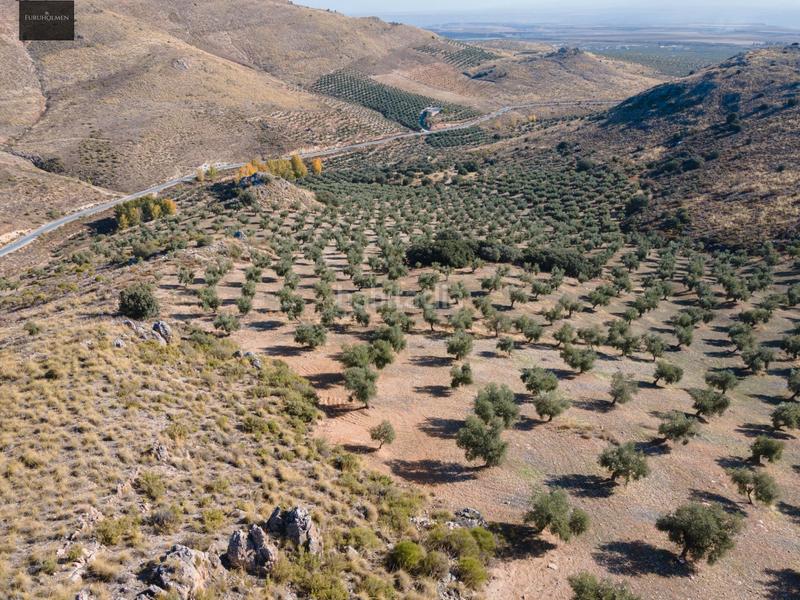 Foto 969522d3-20a2-4488-b0fe-ab0866289408. Finca rústica a Darro