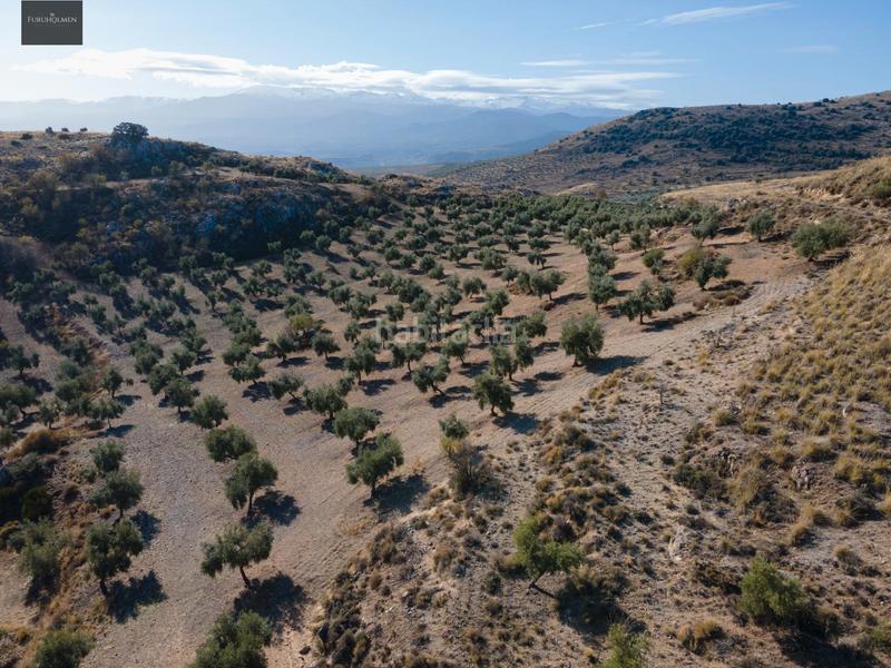 Foto a485ee1a-e084-4cfa-a235-41a594938d22. Finca rústica a Darro