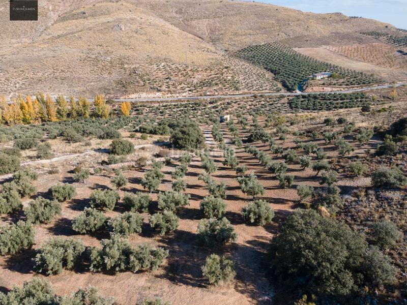 Foto bf4d040c-580e-4b36-8928-56d7f200f7b9. Finca rústica a Darro