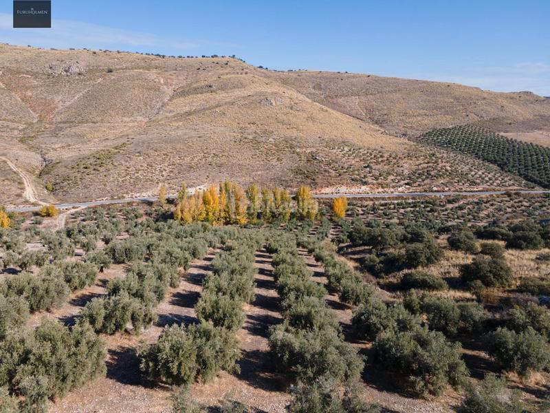 Foto bf9c497b-b070-48e2-8514-8405894cf28f. Finca rústica a Darro