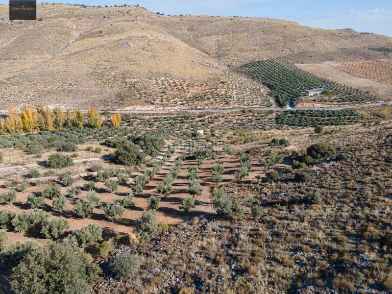 Foto d53b76ef-eaa1-4894-a497-780b76e78613. Finca rústica a Darro