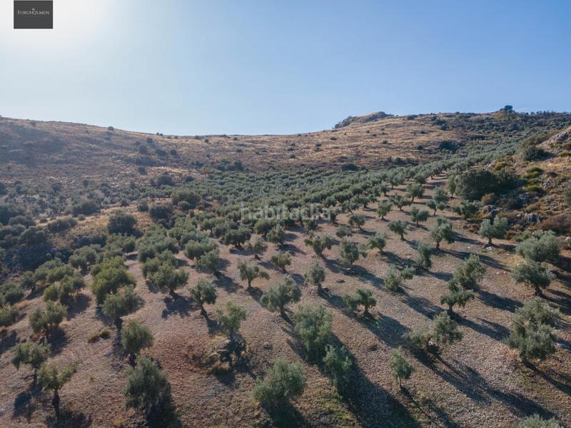 Foto d55c2951-e6e1-47d5-9ac1-1dde2b76dd56. Finca rústica a Darro