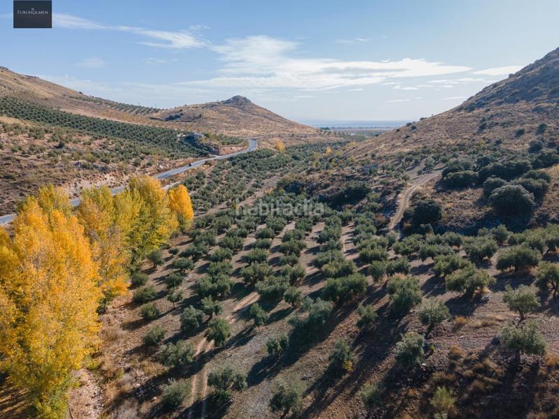 Foto d59cb944-3545-4595-a93e-5b7f7a48fab5. Finca rústica a Darro