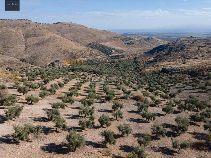 Foto e30ea73f-2ad4-4356-ad21-f70a24795983. Finca rústica a Darro