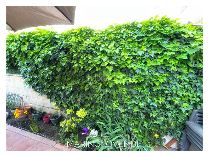 Foto 192cb237-98ee-4d4b-8632-d75a33aff2e4. Pis amb calefacció piscina a señorío de Illescas Illescas