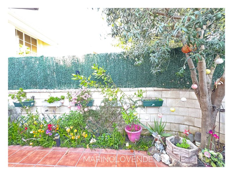 Foto 60b0d3c7-8a12-4e46-9c3d-04cb8eeb42d3. Pis amb calefacció piscina a señorío de Illescas Illescas