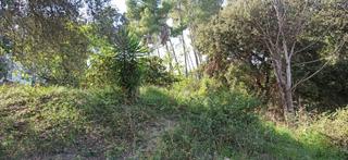 Terreny residencial a Abrera
