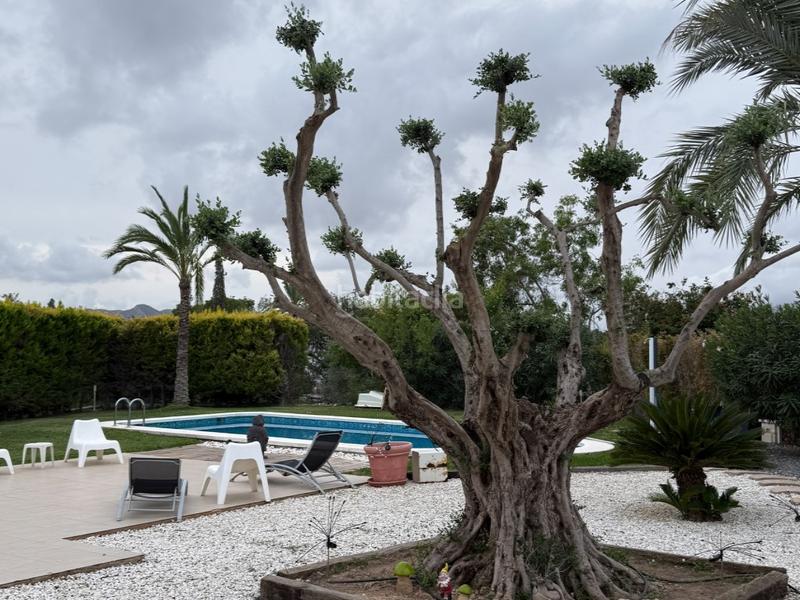 Foto 03ef9354-83bc-4187-b674-0227e9288fda. Casa amb aparcament a Moralet Alicante