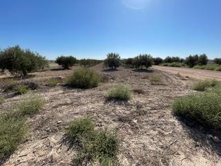 Rural plot in Mazarrón Casco Urbano. Terreno rural en venta en mazarron