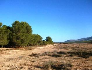 Bauernhof in Aledo. Fincas rsticas en venta en aledo