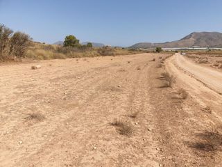 Bauernhof in Aledo. Fincas r�sticas en venta en aledo