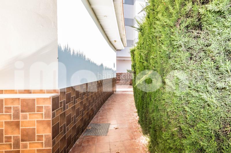 Foto 3608865e-5584-4b80-9209-ea7c31ee127e. Local comercial en avenida de españa 201 en Centro - Doña Mercedes Dos Hermanas