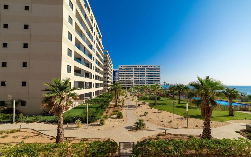 Foto 69a29cdc-93cb-4e3b-9494-e5585054616d. Piccolo appartamento con parcheggio piscina in Punta Prima Orihuela