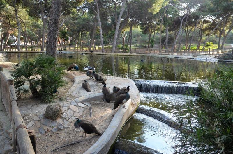 Foto 5049a4d2-18aa-4e97-818f-673bf32b8957. Apartament amb piscina a Puerto Deportivo Guardamar del Segura