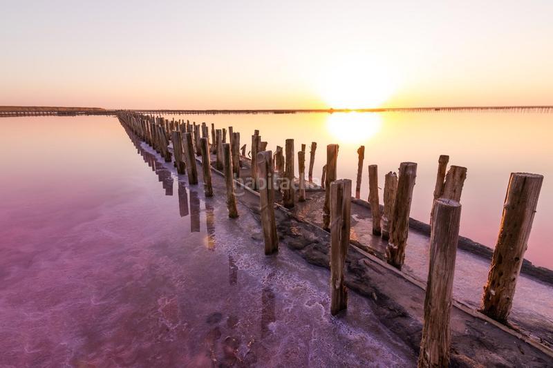 Foto 70a795b6-57ca-432e-b8eb-48de08402de6. Rez-de-chaussée avec piscine terrasse dans Centro - Muelle Pesquero Torrevieja
