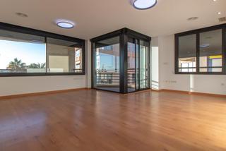 Apartament  Calle torrevejenses ausentes. Amplio apartamento seminuevo en primera línea de torrevieja