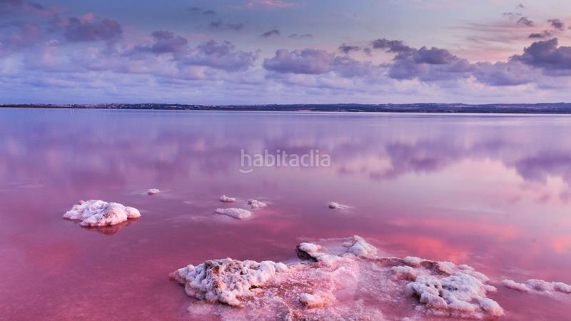 Foto fed33604-8b19-446c-8749-dc3e6d743ede. Chalet lujosa villa independiente en los balcones en Torrevieja