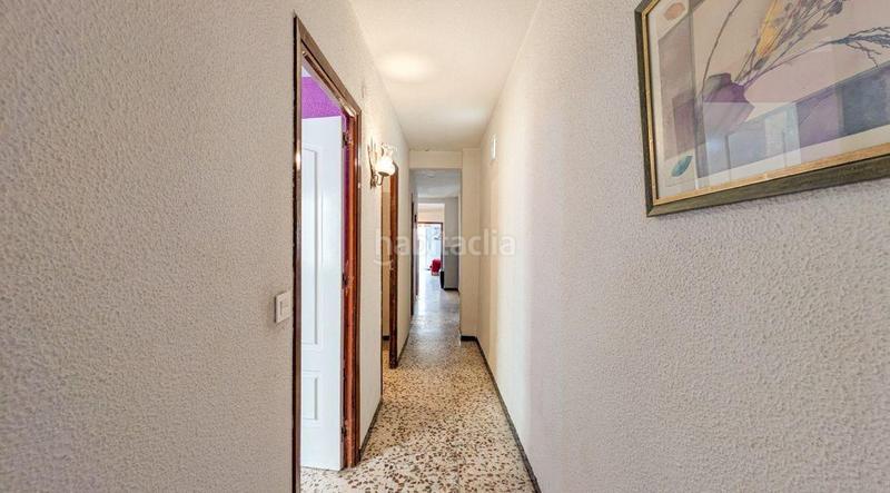 Foto 901e8430-6ee1-478a-938e-3967f28d56cb. Pis a Puerto Deportivo Torrevieja