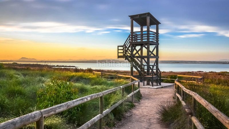 Foto 795abeca-2d5f-4446-bd68-3c527831db92. Planta baixa a Avenida Habaneras - Curva de Palangre Torrevieja