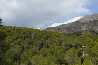 Terreny residencial a Altea la Vella